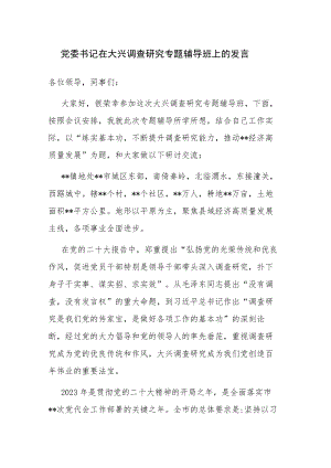 党委书记在大兴调查研究专题辅导班上的发言讲话提纲范文.docx