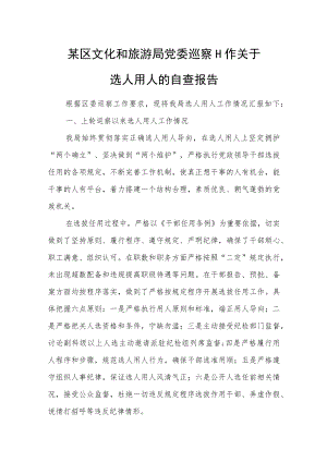 某区文化和旅游局党委巡察工作关于选人用人的自查报告.docx