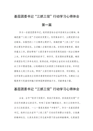 基层团委书记“三抓三促”行动学习心得体会六篇精选.docx