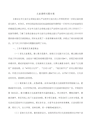 文旅调研问题对策.docx