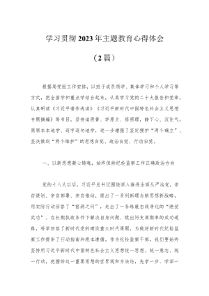 （2篇）学习贯彻2023年主题教育心得体会.docx