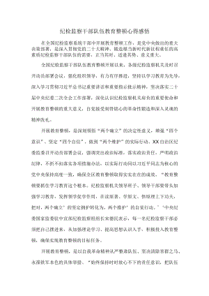 纪检监察干部队伍教育整顿心得感悟四.docx
