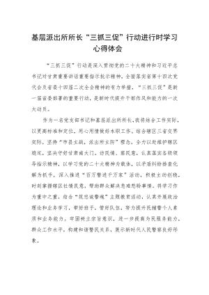 基层派出所所长“三抓三促”行动进行时学习心得体会.docx