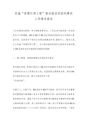 实施“党建引领工程”推动基层党组织建设工作情况报告.docx