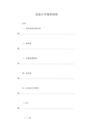 实验小学规章制度.docx