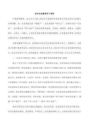 参加纪检整顿学习感悟.docx
