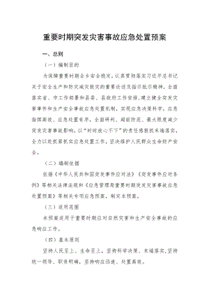 重要时期突发灾害事故应急处置预案.docx