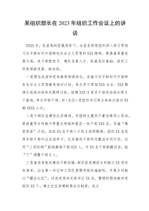 某组织部长在2023年组织工作会议上的讲话.docx