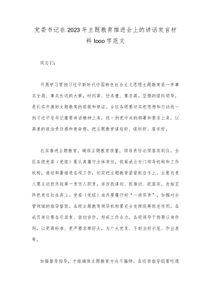 党委书记在2023年主题教育推进会上的讲话发言材料1000字范文.docx