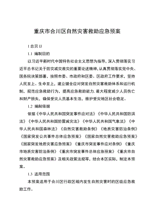 重庆市合川区自然灾害救助应急预案.docx