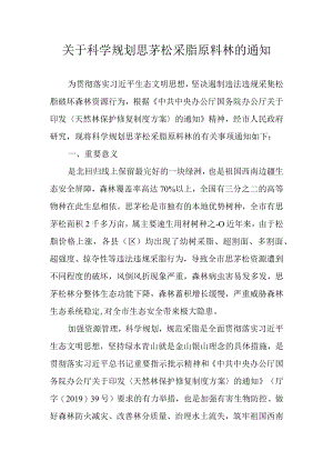 关于科学规划思茅松采脂原料林的通知.docx