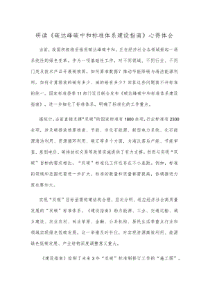 研读《碳达峰碳中和标准体系建设指南》心得体会.docx