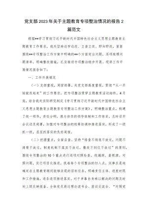 党支部2023年关于主题教育专项整治情况的报告2篇范文.docx
