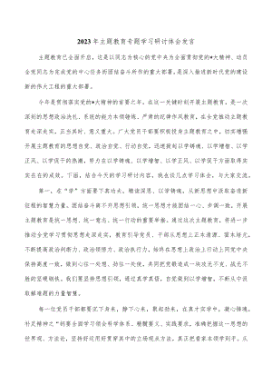 2023年主题教育专题学习研讨体会发言.docx