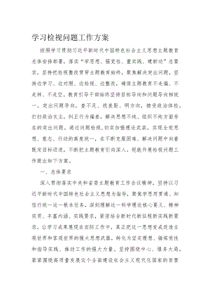 学习检视问题工作方案.docx