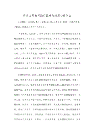开展主题教育践行正确政绩观心得体会.docx