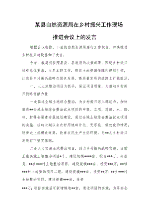 某县自然资源局在乡村振兴工作现场推进会议上的发言.docx