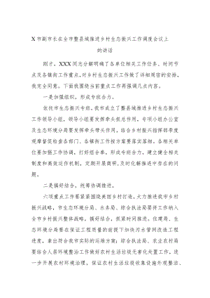 X市副市长在全市整县域推进乡村生态振兴工作调度会议上的讲话.docx