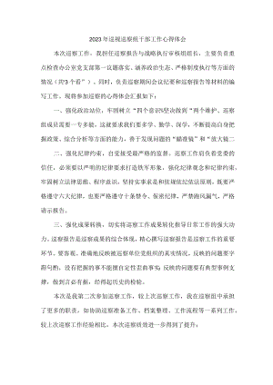 工业园区2023年纪检巡察组巡检工作心得体会 （合计6份）.docx