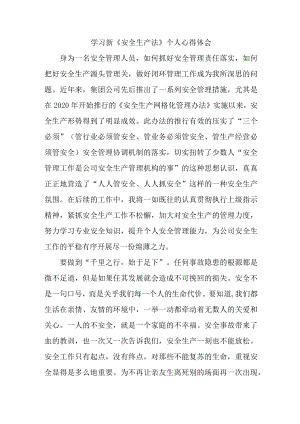 国企安全监督员学习新《安全生产法》心得体会 汇编5份.docx