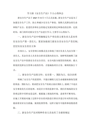 国企安全监督员学习新《安全生产法》个人心得体会.docx
