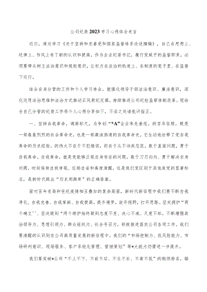 公司纪委2023学习心得体会发言.docx