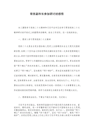 常务副市长参加研讨班感悟.docx