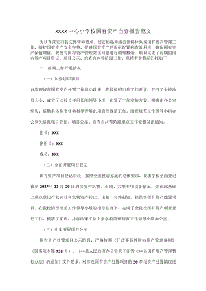 XXXX中心小学校国有资产自查报告范文.docx