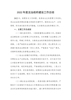 2022年度法治政府建设工作总结.docx