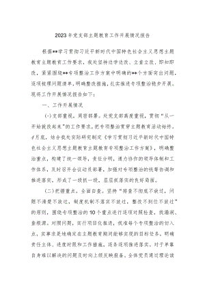 2023年党支部主题教育工作开展情况报告.docx