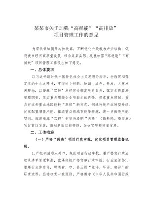 某某市关于加强“高耗能”“高排放”项目管理工作的意见.docx