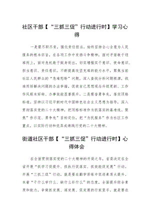 社区干部【“三抓三促”行动进行时】学习心得范文(3篇).docx