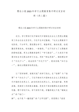 理论小组2023年学习主题教育集中研讨发言材料(共二篇).docx