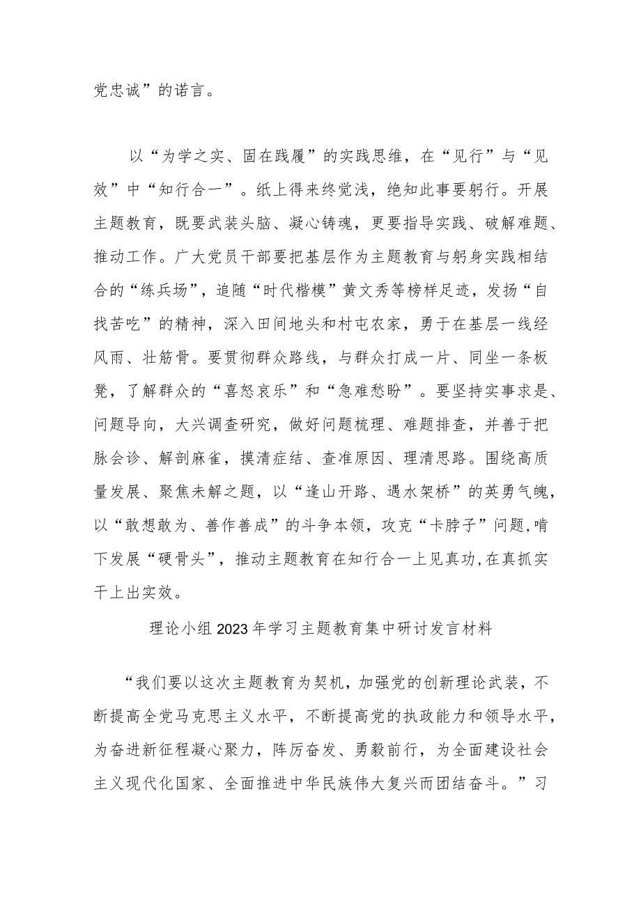 理论小组2023年学习主题教育集中研讨发言材料(共二篇).docx_第3页