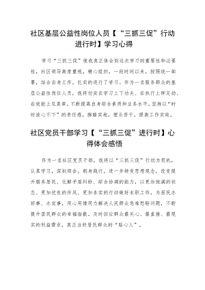社区基层公益性岗位人员【“三抓三促”行动进行时】学习心得范文(3篇).docx
