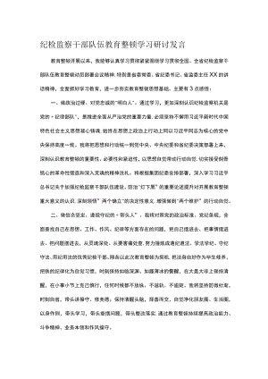 纪检监察干部队伍教育整顿学习研讨发言.docx
