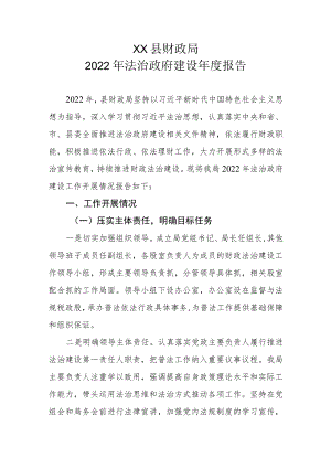 XX县财政局2022年法治政府建设年度报告.docx