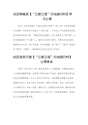 社区网格员【“三抓三促”行动进行时】学习心得范文(3篇).docx