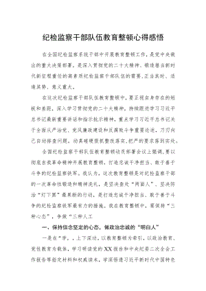 【共3篇】纪检监察干部队伍教育整顿心得感悟.docx