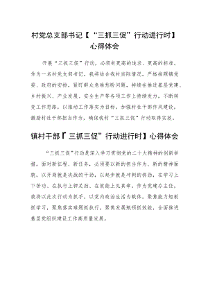 村党总支部书记【“三抓三促”行动进行时】心得体会范文(通用3篇).docx