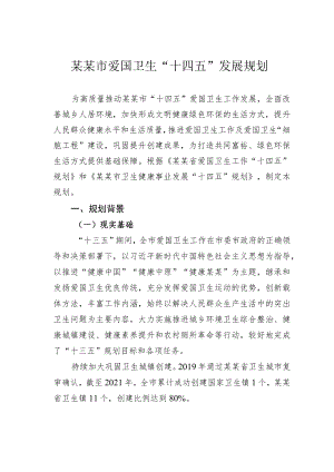 某某市爱国卫生“十四五”发展规划.docx