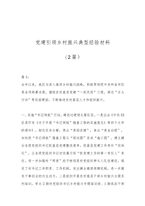 （2篇）党建引领乡村振兴典型经验材料.docx