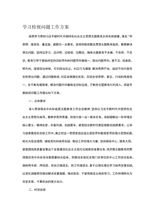 学习检视问题工作方案.docx