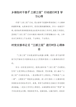 乡镇包村干部【“三抓三促”行动进行时】学习心得范文(3篇).docx