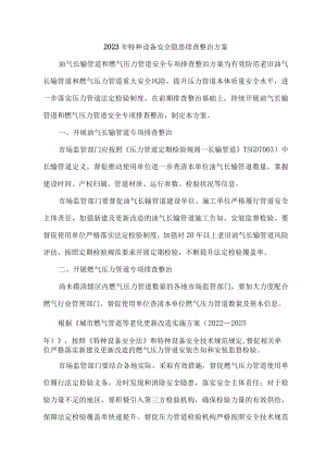 2023年民营单位开展特种设备安全隐患排查整治专项方案 （4份）.docx