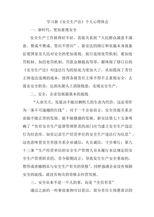 国企安全监督员学习新《安全生产法》个人心得体会 （5份）.docx