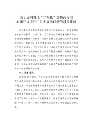 关于遏制耕地“非粮化”加快高标准农田建设工作中几个突出问题的对策建议.docx