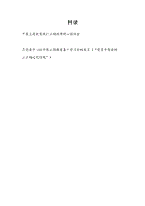 开展“学思想、强党性、重实践、建新功”主题教育树立践行正确政绩观心得体会研讨发言2篇.docx