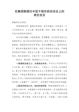 【国资国企】在集团新提任中层干部任前谈话会上的表态发言.docx