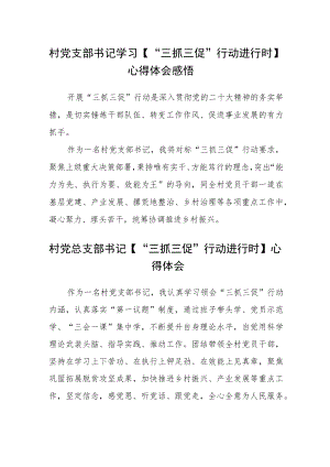 村党支部书记学习【“三抓三促”行动进行时】心得体会感悟样文范文(3篇).docx